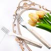 Beige Silver 4/16Pcs Dinnerware Acrylic Handle Knife Fork Spoon Set Stainless Steels Cutlery Set Western Dinner Kitchen Flatware