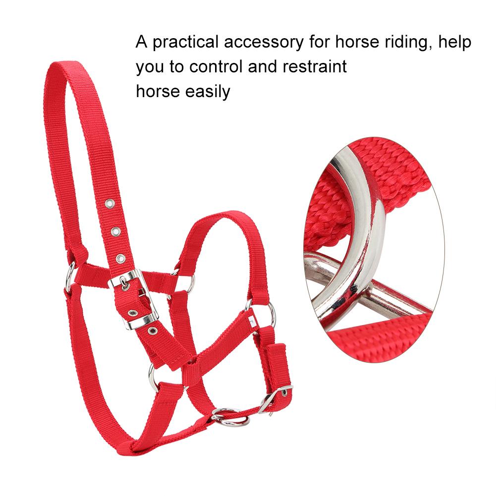 High Density 6mm Thickened Webbing Horse Bridle Control Halter Riding Accessories Red Color