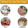 Reusable Smart Flip and Slide Bucket Lid Mouse trap Humane Or Lethal Trap Auto Reset Rat Door Style Multi Catch Dropship