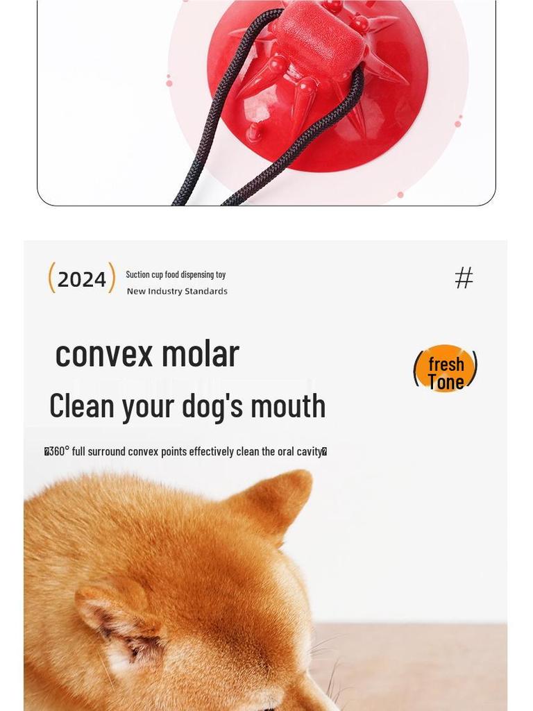 Hundespielzeug: Beißfester Saugnapf-Zerrball zur Zahnpflege, Selbstbeschäftigung und zum Abbau von Energie