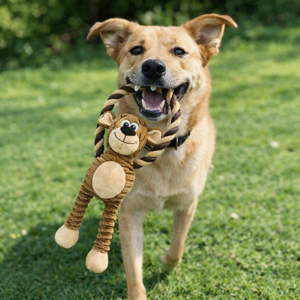 Funny Bite Resistant Dog Chew Knot Toy Animals Shaped Cartoon Cotton Rope Pull Ring Sounding Dog Squeaking Toys Training