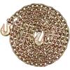 Binder Chain G80 Tie Down Tow Chain with Two Hooks 5/16" X 14.2' 4900 Lbs