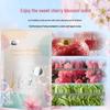 Zhihu Sakura Scent Laundry Detergent