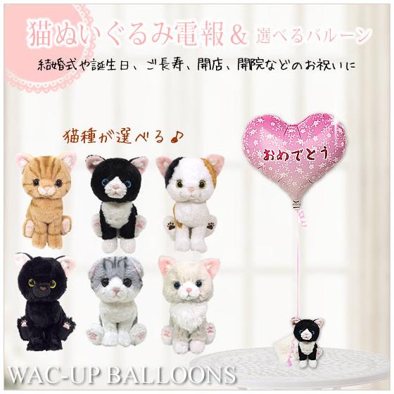 

Telegram, Stuffed Toy, Cat, Opening Celebration, Cute, Scottish Fold, American Shorthair, Black Cat, Mike, Ragdoll, Hachiware, Wedding, Balloon