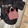 Trend Fashion Shoulder Winter 2025 New Popular Contrasting Bag Simple Oblique Span Niche Commuter Small Square Bag