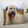Irish Wolfhound Pillowcase Modern Home Bedroom Living Room Sofa Cushion Cover 45X45Cm Peach Skin Pillowcase
