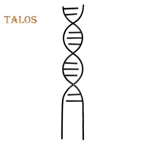 

Металлические растения Трельяж Полый витой Крытый Открытый Горшечные цветы Растения Вьющиеся Небольшие комнатные растения Виноградная лоза Плющ Опора Кол Садоводство чёрный