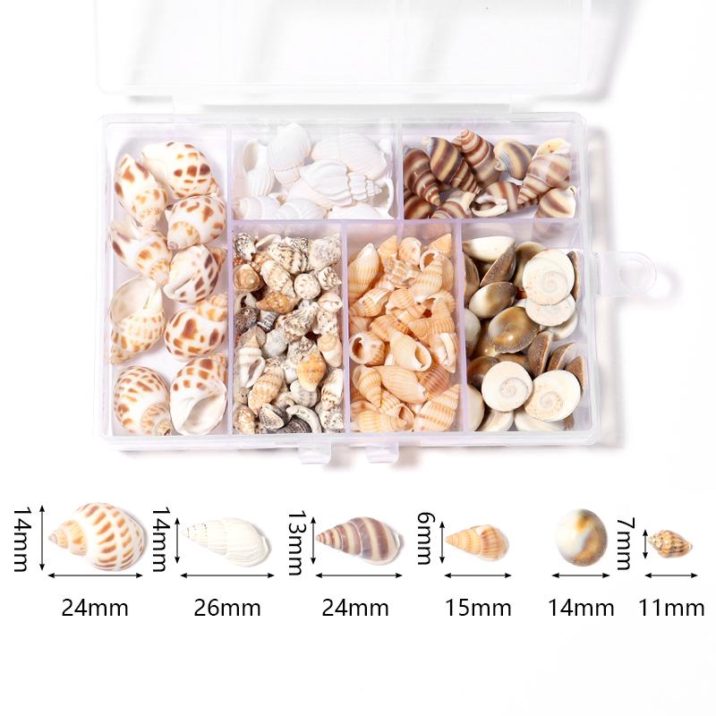1 Box Sea Shell Spiral Shell Tiny Ocean Spiral Seashell Conch Crafts Aquarium Decoration Landscaping Accessory Photography Props