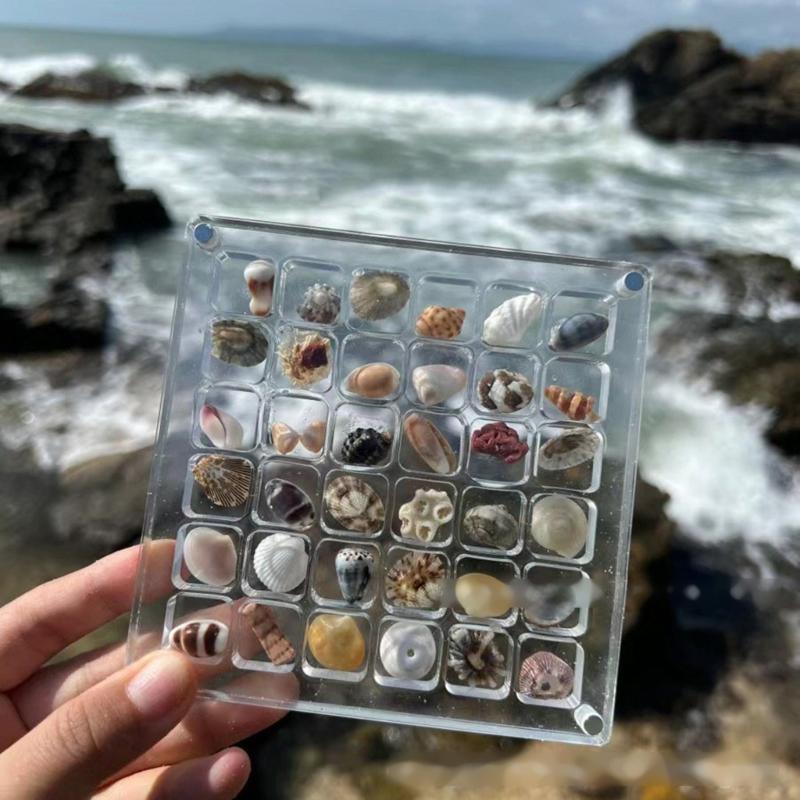 Convenient Acrylic Shell Storage Box Craft Organizer Box Acrylic Magnetic Shell Display Box for Small Crafts Shell