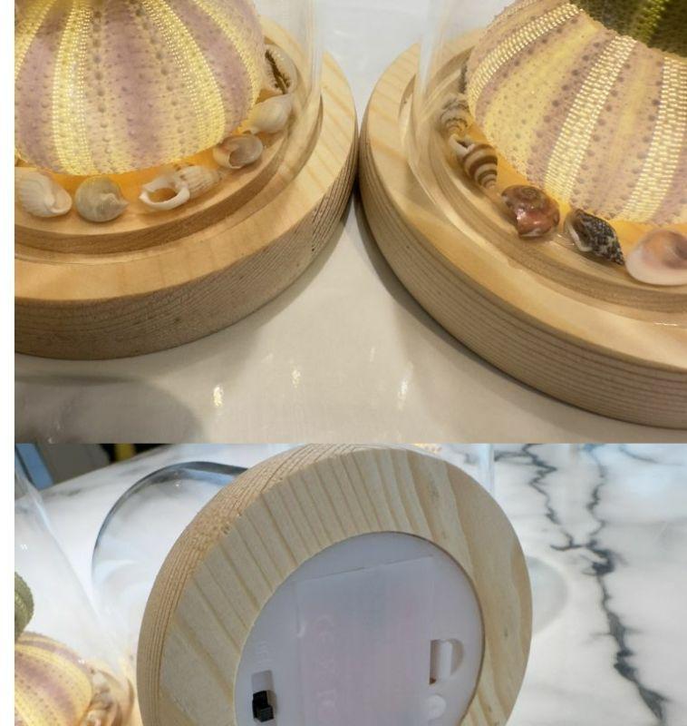 DIY Luminous Sea Urchin Night Light Kit - Birthday Gift for Girlfriend