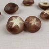 Realistic Shiitake Mushroom Simulation Model - Faux Vegetable Decoration for Photography & Display