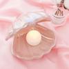 LED Bedside Lamp Night Light Shell Decorative Nightlight for Home Nursery Shell Tabletop Lamps Sleeping Light Living Room