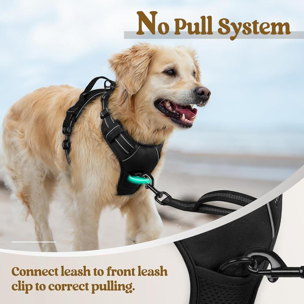 The New Reflective Sling, Large And Medium-sized Dog Chest Sling, Vest-style Dog Leash, Pet Supplies, Dog Tags Can Be Carved
