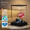 Creative Betta Fish Ecological Desktop Tank with Night Light Decoration.