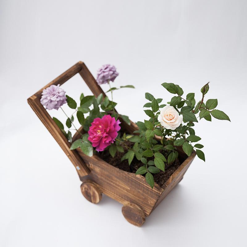 Cartoon Cart Shaped Wooden Potted Succulent Flowerpot Rectangular Flower and Green Plant Pot