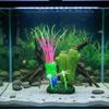 Luminous Simulated Sea Squirt Realistic Silicone Artificial Mushroom Ornament Lifelike Colorful Aquarium Water Plants Fish Tank