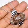 Huge Rock Fossil 925 Silver Plated Necklace 18" Thank You Gift Fashion Sale I8n36