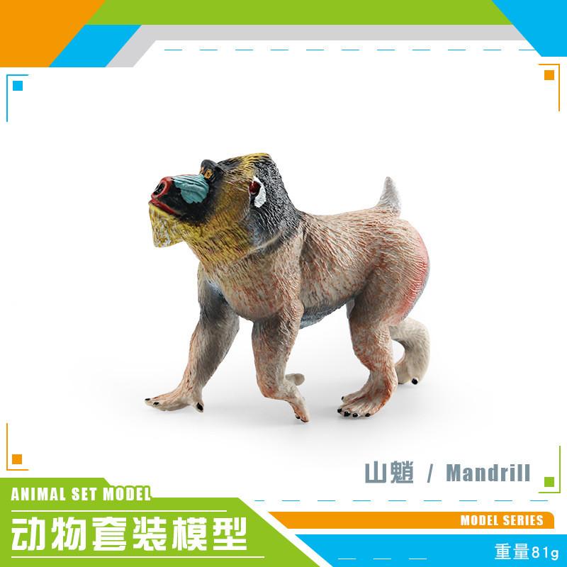 Lifelike African Lion Ferret And More Animal Figurines For Kids And Collectors