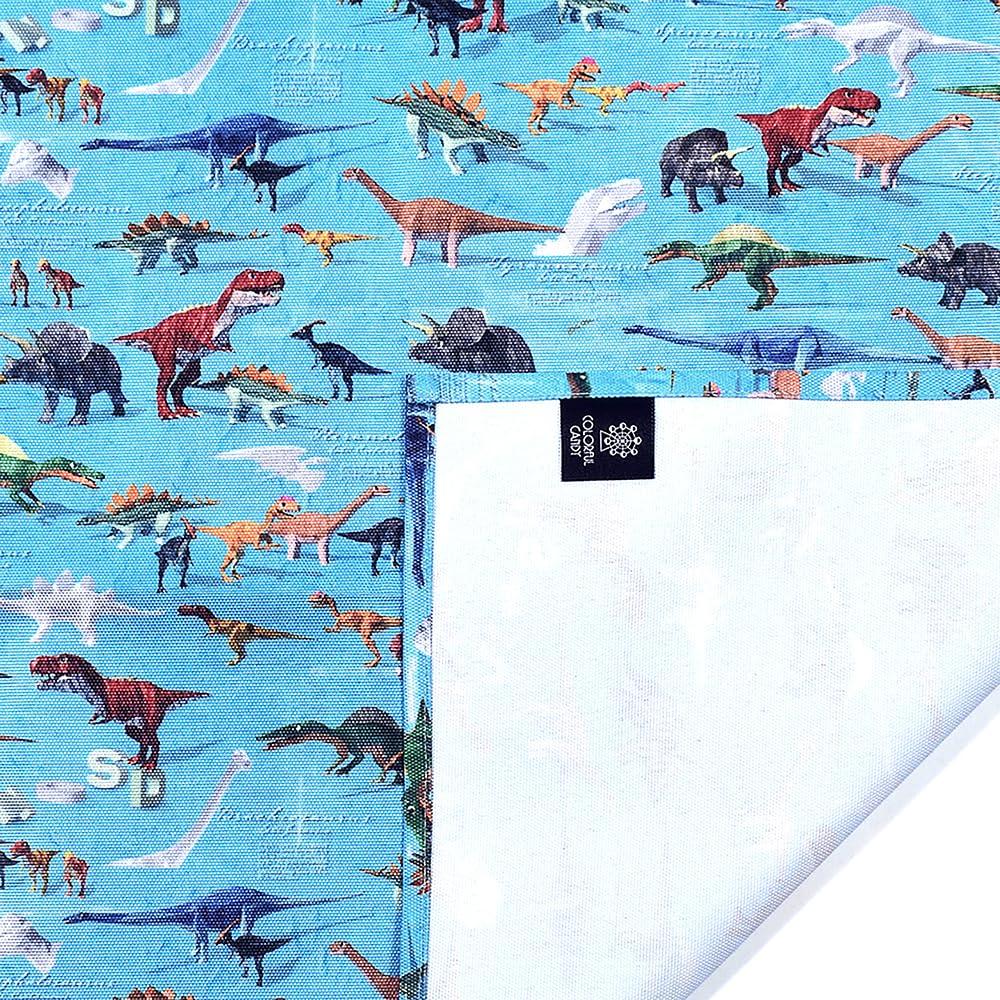 COLORFUL CANDY STYLE Picnic Sheet for People X and Lightweight Type Dinosaur World Lightweight Children 1 Person Compact Field Trip Sports Day Boys