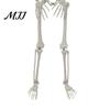 Skeleton with Jointed Limbs Halloween Posable Decoration, 41 Inch Full Body Hanging Human for Movable Joints Party Yard Garden Porch Lawn Haunted