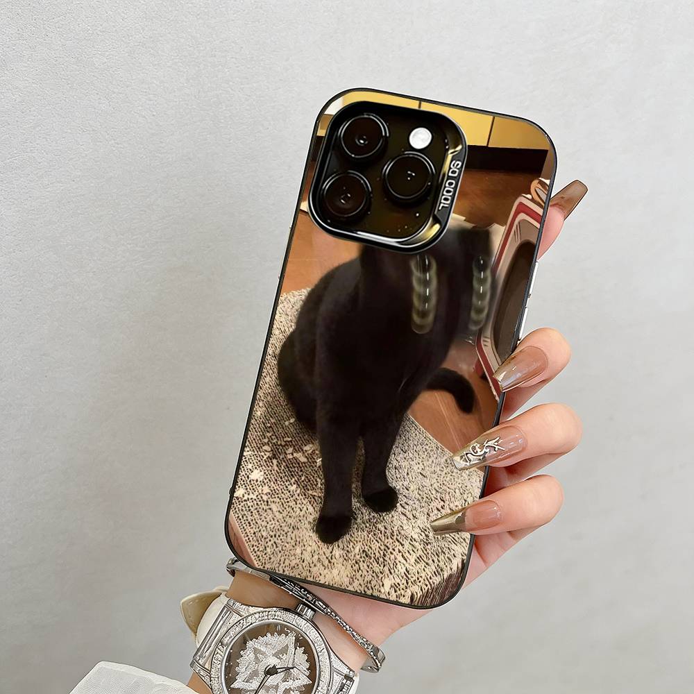 Funny Cat Phone Case  Phone Case For iPhone 17,16,15,14,13,12,11 Plus,Pro Max,XS,Colored Silver Plated Inside Cover