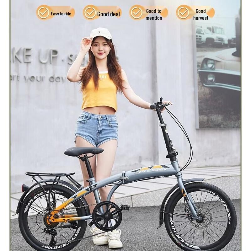 Phoenix 20-inch Folding Bicycle