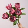 Stile Europeo Simulazione Fiori Imperiali Ramo Festa Decorativa Seta Artificiale Bianco Fiore Reale Decorazione Stanza