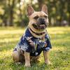 Navy Blue Dog Hawaiian Shirt Lightweight Pineapple Print Shirt Cat Shirt Holiday Gathering