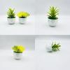 Plastic Succulent Fake Plant Pot For Home Decor And Gift