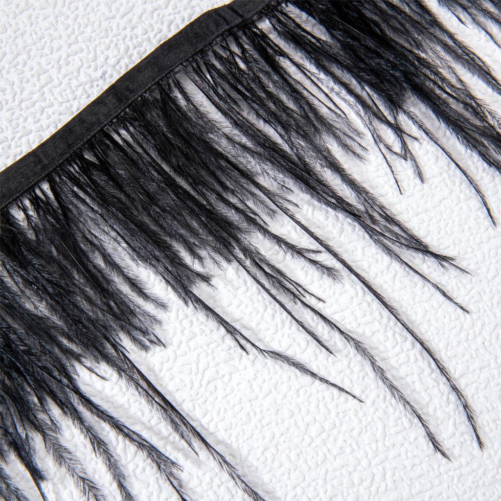 Mode Dunkler Gothic Stil Feder Quaste Kurze Halskette für Frauen Schmuck Einfache Kreative Choker Halskette