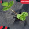 Kotarbau® Anti-Weed Garden Agrotextile, Universal, Black, 70 G/M2, 1.6 X 5 M