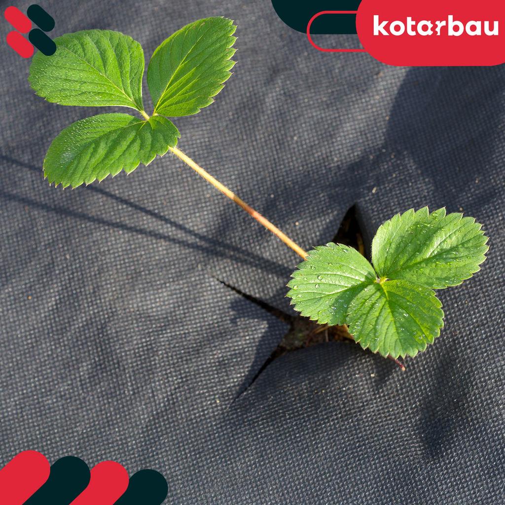 Kotarbau® Anti-Weed Garden Agrotextile, Universal, Black, 70 G/M2, 1.6 X 5 M