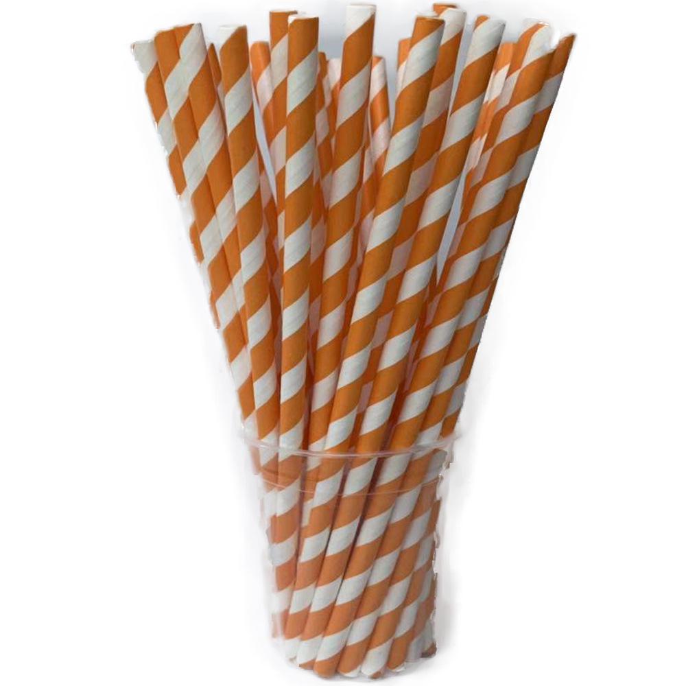 Individually Wrapped Biodegradable Striped Paper Straws