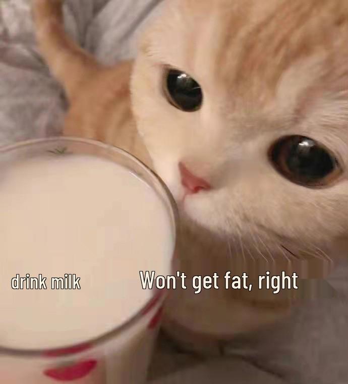 Haustier Fütterungsset: Silikon-Tiernuckel für Kätzchen & Welpen