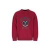 Sweaters Men's Red Crew Neck Moderate Other 675267T32176164