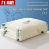 Jiu Zhou Lu Washable Summer Quilt