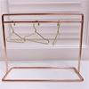Mini Doll Hanger with 12 Hangers BJD Doll Hanger Rack Miniature Hanger Set Mini Toy Dress Up Doll Clothes Clothes Rack 1/7 (Rose Gold)