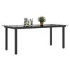 VidaXL Table de jardin Noir 190 x 90 x 74 cm Aluminium et verre