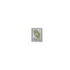 Dried Flower Kit Dry Pressed Flowers Plant Specimen for Art Crafts Scrapbooking Greeting Card Decoration
