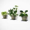 Modern Flora Wall Flower Stand, Black Metal Loft Wall Basket for Flowerpot, Handmade