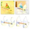 Bird Stand Toys Play No Need Screws Easy Installation Multifunction Parrot Swing