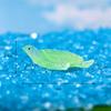 Turtle Decoration Handmade Resin Artwork Mini Home Decorations Highly Sought After Fish Tank Floral Moss Decoration Ornaments