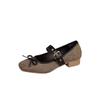 Mary Jane Shoes Women Ankle Straps Low Heels Dress Shoes Chunky Heels Closed Toe Pumps for Women Comfortable Dressy Block Heeled Mary Jane Pumps