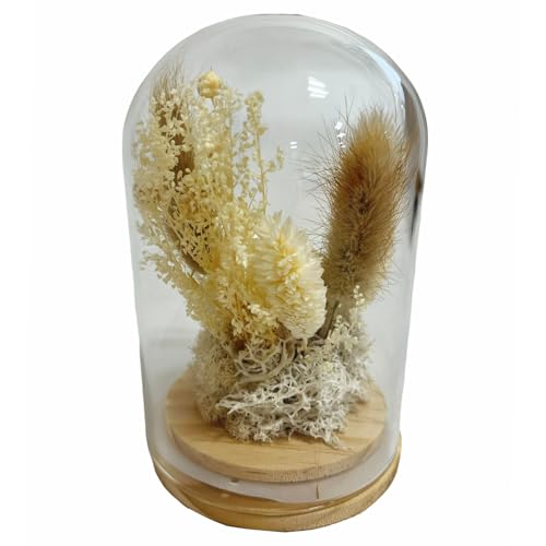 Q-FLA Dried Flower Dome Arrangement, White, Perfect for Gifts and Celebrations, 813566
