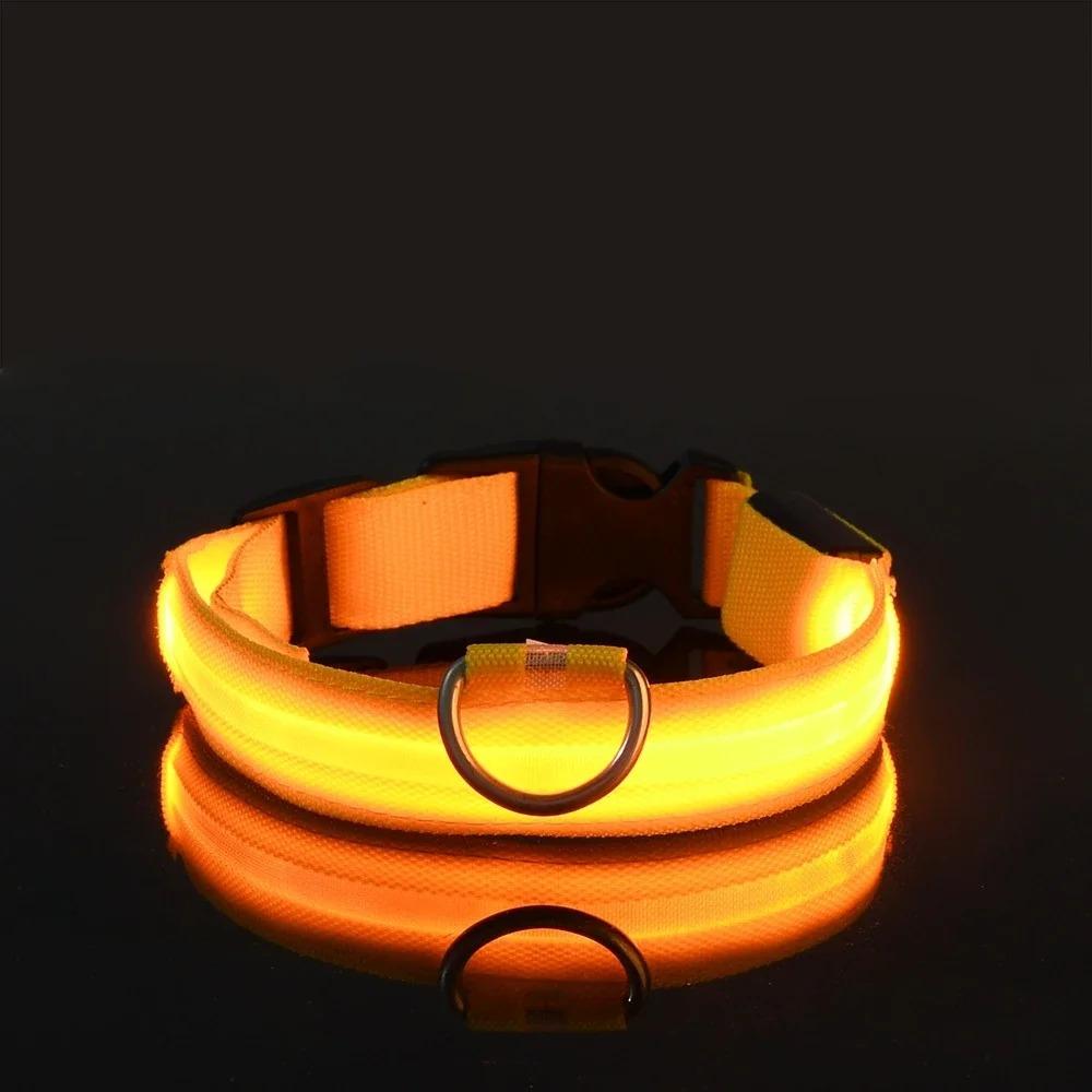 Light Up the Night - Stay Visible with Dog Glow Collar, Anti-Lost and Flashing Design for Safety