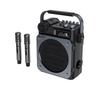 Shidu D6 High-Power Portable Speaker CN Plug (adapter Included)