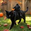 Festivalové oblečení pro mazlíčky Doplňky Bezhlavý jezdec Kočičí kostým Halloween 3D Zábavný jezdecký outfit s dýní Svátek pro psy Lucerna Nastavitelný