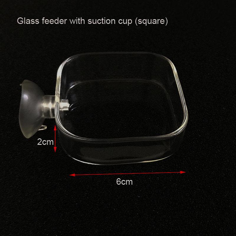 Transparent Aquarium Fish Tank Shrimp Food Feeding Circle Glass Feeder Floating Bottom Feeder Fish Shrimp Aquarium Accessories
