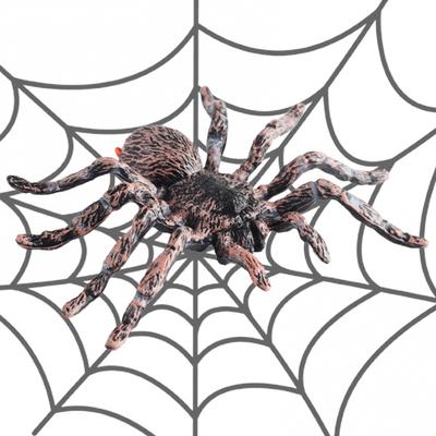 Aranha artificial decoração de halloween realista gigante whiteknee aranha modelo simulado plástico aranha brincadeira brinquedos educativos aprendizagem