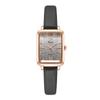 Women'S Fashion Niche Light Luxury Creative Gradual Change Small Square Plate Student Belt Quartz Watch